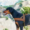 ハーネス犬のハーネス、反射的調整可能でパッド入り、快適なペットハーネスのための簡単なウォーキングトレーニングのために、小、中程度の犬、大きな犬