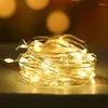 Cordes LUMIÈRES LED LED STRING CUPER FIL PARLALIQUE POUR LA PARI MÉDICATION DE CHARI