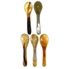 Spoons Cappuccino Spoon Natural Horn Coffee Scoop Ice Cream (set 5) For Bar