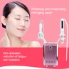 Comfortabel Naaldloos Mesotherapiepistool Waterpeeling Hydraterend Gezichtsreinigingsapparaat 2 in 1 Koude Hamer Huidverstrakking Anti-aging Salon