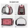 Cages Petit sac de transport pour animaux de compagnie Transparent Cochon d'Inde Sac à bandoulière extérieur Maille respirante Chinchilla Oiseau Hérisson Cage pour animaux de compagnie Rat Hamster