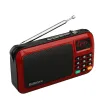 Radio Draagbare Mini FM-radio Luidspreker Muziekspeler TF-kaart USB voor pc iPod-telefoon met LED-display