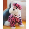 Капюшерская капюшона зимняя осень осенняя кошачья одежда Desinger Одежда PET теплый свитер.