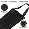 Sets Adjustable Dog Sling Back Legs Hip Support Pet Accessories For Canine Aid And Ligament Rehabilitation Dog Lift Harness Supplies