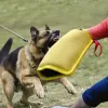 Équipement d'entraînement pour chiens, manchons de morsure pour animaux de compagnie, jouet, manchon de Protection des bras pour l'entraînement des morsures de chiens, jeunes chiens Malinois berger allemand