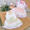 Robes printemps chien robe vêtements pour animaux de compagnie chat Tutu jupe chiot Yorkshire Terrier poméranien maltais Bichon Chihuahua petit chien vêtements