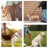 Laisses Laisse de laisse de chien en cuir véritable, chaîne réglable pour chien de compagnie avec curseur, laisse de dressage en cuir plat solide pour chiens de grande taille