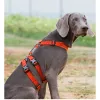 Harnais truelove animal de compagnie doubleh nylon nylon harnais de chien pas de true reflucide ajusté réglable yh1803