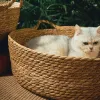 Tappetini OUZEY Cestino intrecciato in rattan per gatto Comodo letto per cani da compagnia Letto estivo per gatti Tessuto fresco Ciambella rotonda Letto per cuccioli di gattino