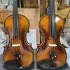 Hersteller von handgefertigten, geschnitzten 4/4-Geigen aus europäischem Material