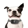 Collier Anti-aboiement automatique pour chien, dispositif de dissuasion, bouchon Anti-aboiement Rechargeable, collier étanche IP67 efficace