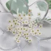 Dekoracyjne kwiaty wieńce 100pcs naciśnięty suszony narcyz kwiat Plum kwiat z pudełkiem do biżuterii żywicy epoksydowej tworzenie paznokci sztuki