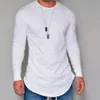 Automne hiver t-shirt hommes bas prix à manches longues hommes t-shirts Slims Oneck solide vêtements t-shirt rue décontracté coton pull 240219