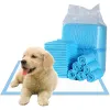 Boxes Super saugfähige Haustierwindel Hundetraining Pee Pads Einweg-gesunde Windelmatte für Katzen Hundewindeln Quickdry-Oberflächenmatte