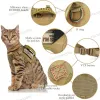 Vêtements Harnais Tactique en Nylon pour Chat pour la Marche Gilet pour Animaux de Compagnie en Maille Souple réglable Anti-évasion, vêtements de Poitrine pour Grands Chats Adultes Petit Chien