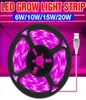 Grow Light USB Full Spectrum Phytolamps LED Light Light 5V 식물 성장 05 1 2 3M Flexible Strip Waterproof Tent Seed Lamp7044752