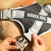 Harnassen kimpets hondenharnas vest labrador retriever borstkleding touw medium grote hond reflecterende verstelbare buiten wandelende huisdierenbenodigdheden