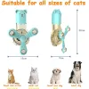 Toys Paws için All Interactive Bulmaca Kedi Besleyici Oyuncaklar Beyin Stimülasyon Oyuncaklar Bir Catnip Top ile İç Mekan Kedileri İçin Yavaş Besleyici A LED BALE