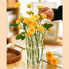 Hinged Flower Vase Clear Test Tubes Flower Pot Creative Vase Floral Hydroponic Container For Home Desktop Dining Table Decor 240219