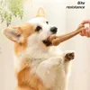 Dog Toys Chews Bite Resistant Pet Dog Chew Toys Molar Teeth Clean Stick Interesting Pine Wood Cute Bone Shape Durable Pet Accessories