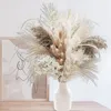 Flores decorativas 80 pcs moderno pampas grama seca buquê boho decoração de casa natural fofo pompas para casamento quarto arranjos florais