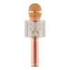 Microfoons WS858 Professionele draadloze microfoonluidspreker Karaoke condensor MIC Bluetooth Microfoon Radio Studio Record Mic WS858 Muziek