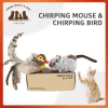 Toys Three Dogs & A Cat Pet Toys Suit Simulate Real Sounds of Animals Native Feather Simulation Mouse and Bird Interactive Cat Toy