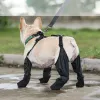 Scarpe con stivale da bootie da neve calzino stivale booties non slip impermeabile e trassolante per piccoli e grandi cani