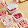 Storage Bottles Food Fruit Box Portable Compartment Refrigerator Freezer Organizers Sub-Packed Frozing Onion Ginger Clear Crisper
