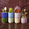 newIce Cracked Mini Ceramic Flower Pot Colorful Cute Flowerpot For Desktop Decoration Meaty Potted Plants Planters