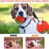 Leksaker Benepaw Natural Rubber Strawberry Shaped Dog Chew Toys Hållbara Emofriendly Food Leaking Valp Toys för små medelstora stora hundar