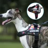 Pettorine Toppa personalizzabile per collare per pettorina per cani con manico Pettorina per cani alla moda Gilet riflettente per cani di taglia piccola, media e grande Husky