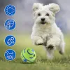 Brinquedos 14cm wobble wag giggle bola silicone saltando brinquedo interativo do cão filhote de cachorro mastigar sons engraçados cão jogar bola treinamento esporte brinquedos para animais de estimação