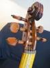 5-струнная скрипка в стиле барокко SONG Brand Master с инкрустированной задней панелью 4/4 # 12071