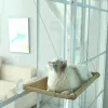 Paspas Pet Kedi Hammock Asma Kedi Yatağı Yatak 20kg Rahat Kedi Güneşli Pencere Koltuk Montaj Keden Tırmanma Çerçevesi Pet Aksesuarları