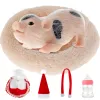 인형 4.72 인치 전체 실리콘 돼지 돼지 bpafree 소프트 실리콘 돼지 인형 생명의 재건 아기 돼지 돼지 장난감 장난감 아기 선물 가정 장식