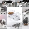 Fournitures 2022 Nouveau bol de support de cou pour animaux de compagnie antidérapant double bol pour chat bol pour chien mangeoire pour animaux de compagnie bols orthopédiques pour chats à inclinaison élevée pour chats d'intérieur