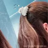 Haarspeldjes Haarspeldjes Designer Letter Grijpclip Westerse stijl Italiaanse haarclip Achterhoofdlepel Ball Top Clip Hoogwaardige lichte luxe Veelzijdige Instagram-haarclip