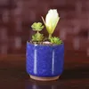 newIce Cracked Mini Ceramic Flower Pot Colorful Cute Flowerpot For Desktop Decoration Meaty Potted Plants Planters