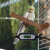 Abborre uppvärmda fågelförloppsplattformhartsbur tillbehör bettbeständig fågelbur för medelstora stora kärleksfåglar cockatiel kanarier