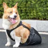 Tillbehör Pet Drag Bag Draging väska Rullstol Alternativt andningsbar skyddande bakben dragväska för funktionshindrad hund återhämtning bärväska