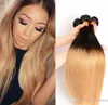 Pasja Ombre Hair Extensons Brazylijska malezyjska peruwiańska prosta dziewicza włosy 3 wiązki dwa ton 1B27 Ombre blond ludzkie włosy 6263920