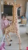 Almofadas 100140cm Gigante Vida Real Girafa Boneca de Pelúcia Skins Unstuffed Plush Toy Skin Kids Gift Room Decor DIY Brinquedo Produto Semiacabado