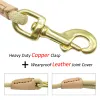 Leases Hållbar hundspårning Leash Nylon Long Leads Rope Pet Training Walking Leases 3m 5m 10 m 20m för medelstora stora hundar Nonslip