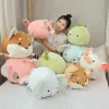 Poupées kawaii animal sweet sat gras dinosaur pig shiba inu chien peluche jouet softoon doun elephant feed doll baby oreiller cadeau 35 / 45cm