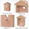 Nests Outdoor Birdhouse with Suction Cups for Easy Mounting on Window and Door