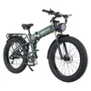 Burchda R5Pro Новый длинное расстояние 20AH Enhanced Shock Arscive Bluetooth Instrument Off Road Electric Bicycle 1000W20AH