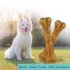 Dog Toys Chews 2021 nouveaux jouets pour chiens os brosse à dents à mâcher pour animaux de compagnie petits grands chiens friandises en peau de vache chiot jouet à mâcher pour accessoires de soins dentaires