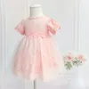 Mädchen Kleider Baby Baumwolle und Spitze Lolita Kleid Born Gift Formal Summer Pink