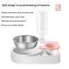 Feeding Love heart Pet Bowls Dog Food Water Feeder Stainless Steel Pet Drinking Dish Feeder Cat Puppy Feeding Supplies Dog Accessories